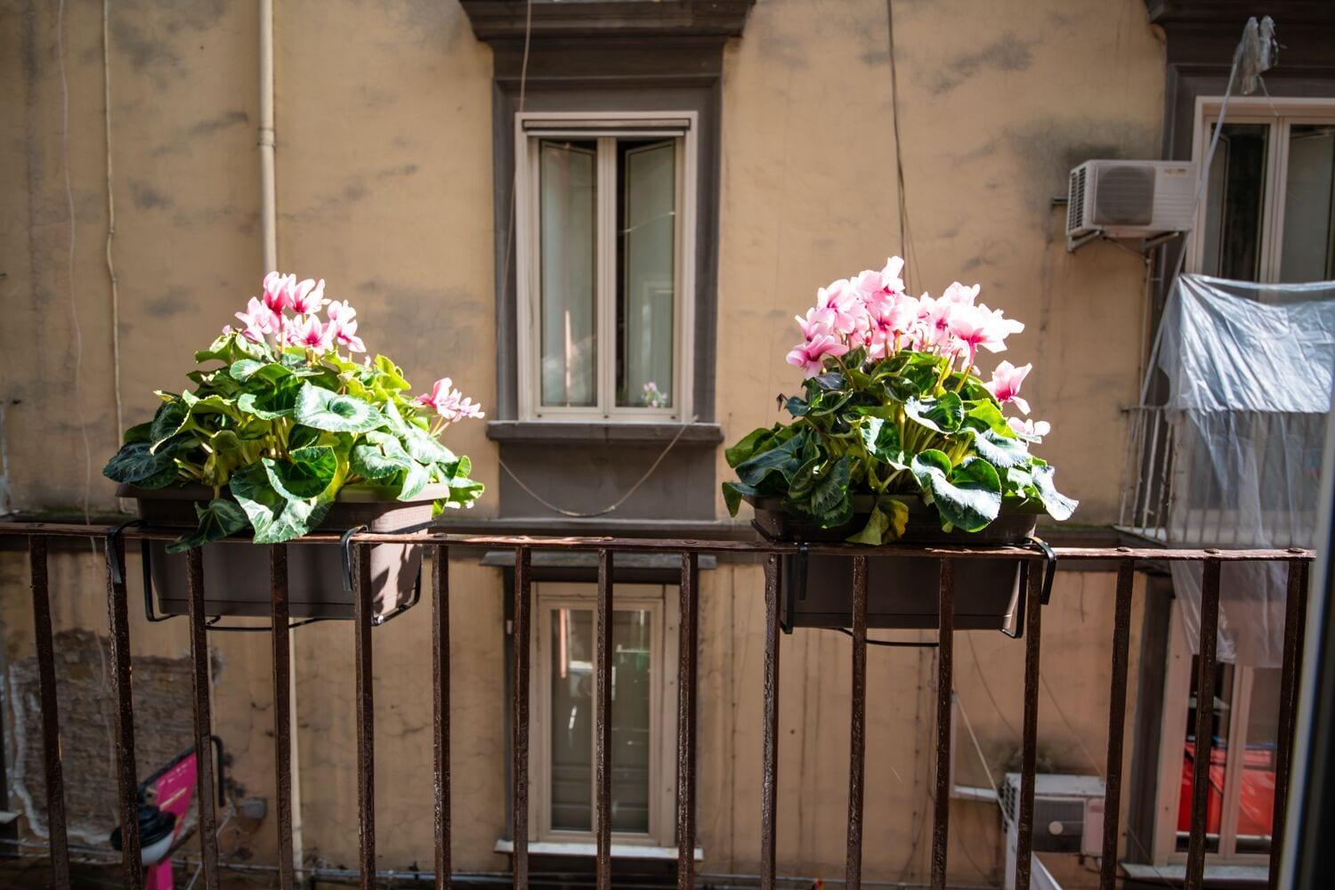 B&B Napoli Time Nápoles Exterior foto